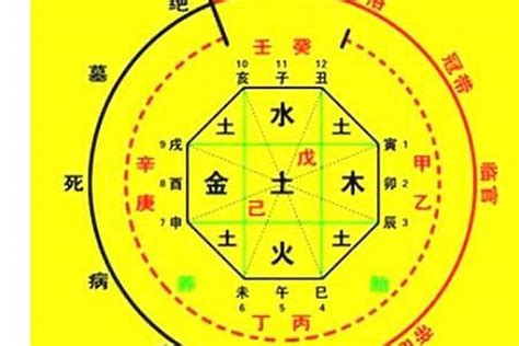 生八字|生辰八字算命、五行喜用神查詢（免費測算）